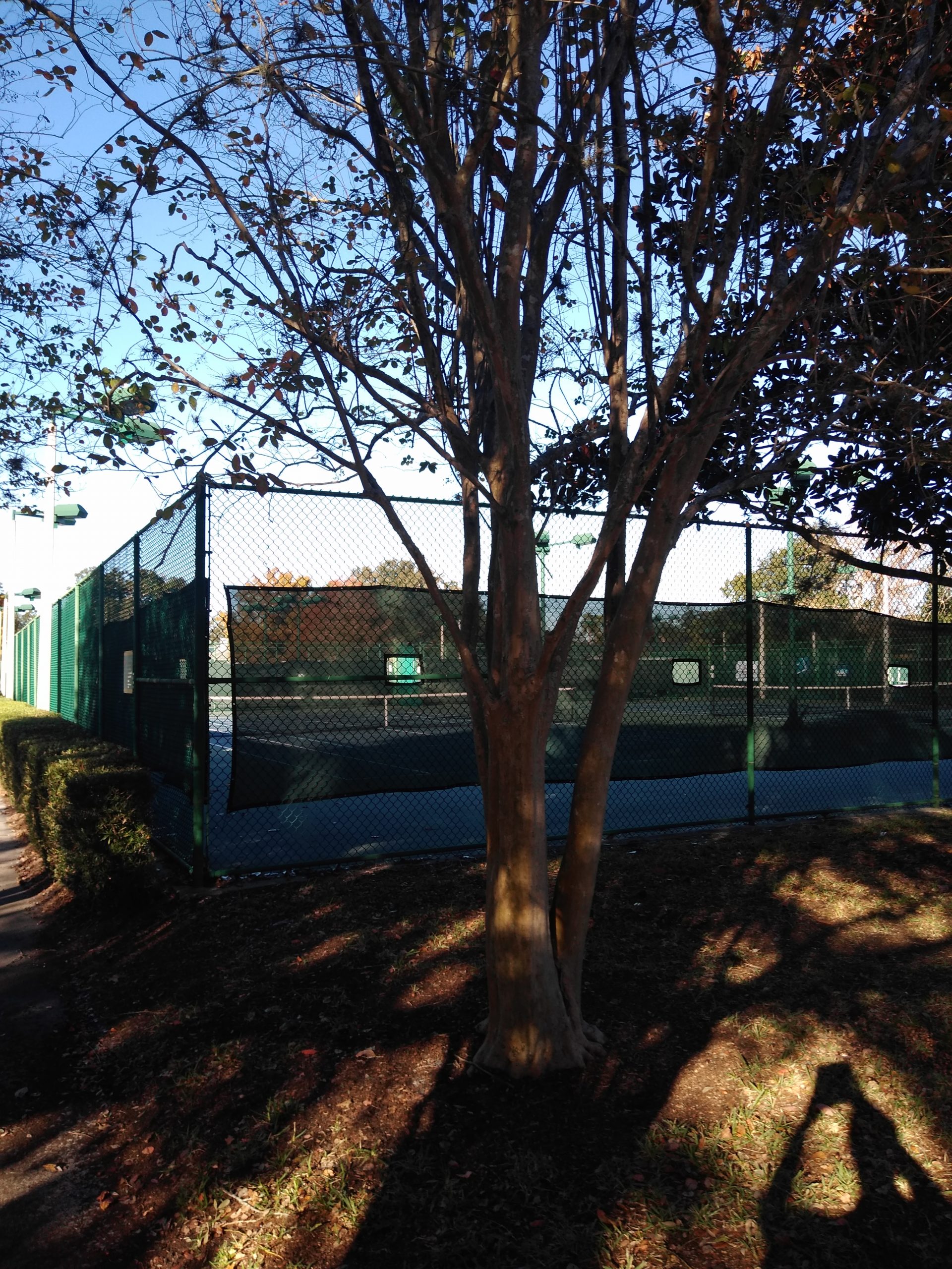 Exploring the World With Pokemon Go Fort Gatlin Recreation Complex