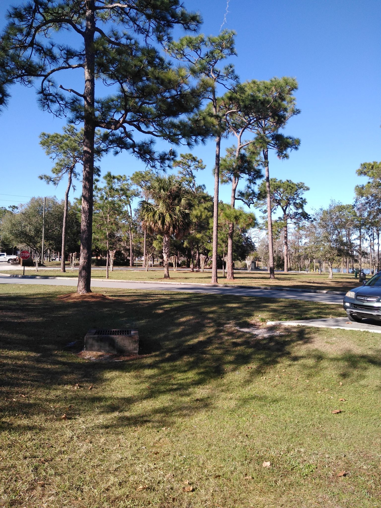 Exploring the World With Pokemon Go Downey Park