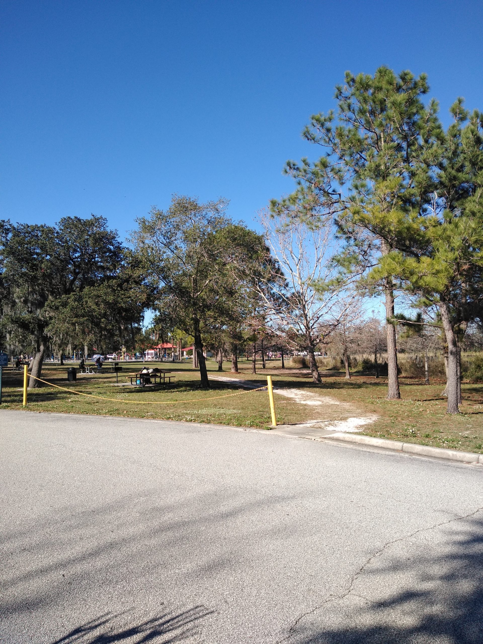 Exploring the World With Pokemon Go Downey Park