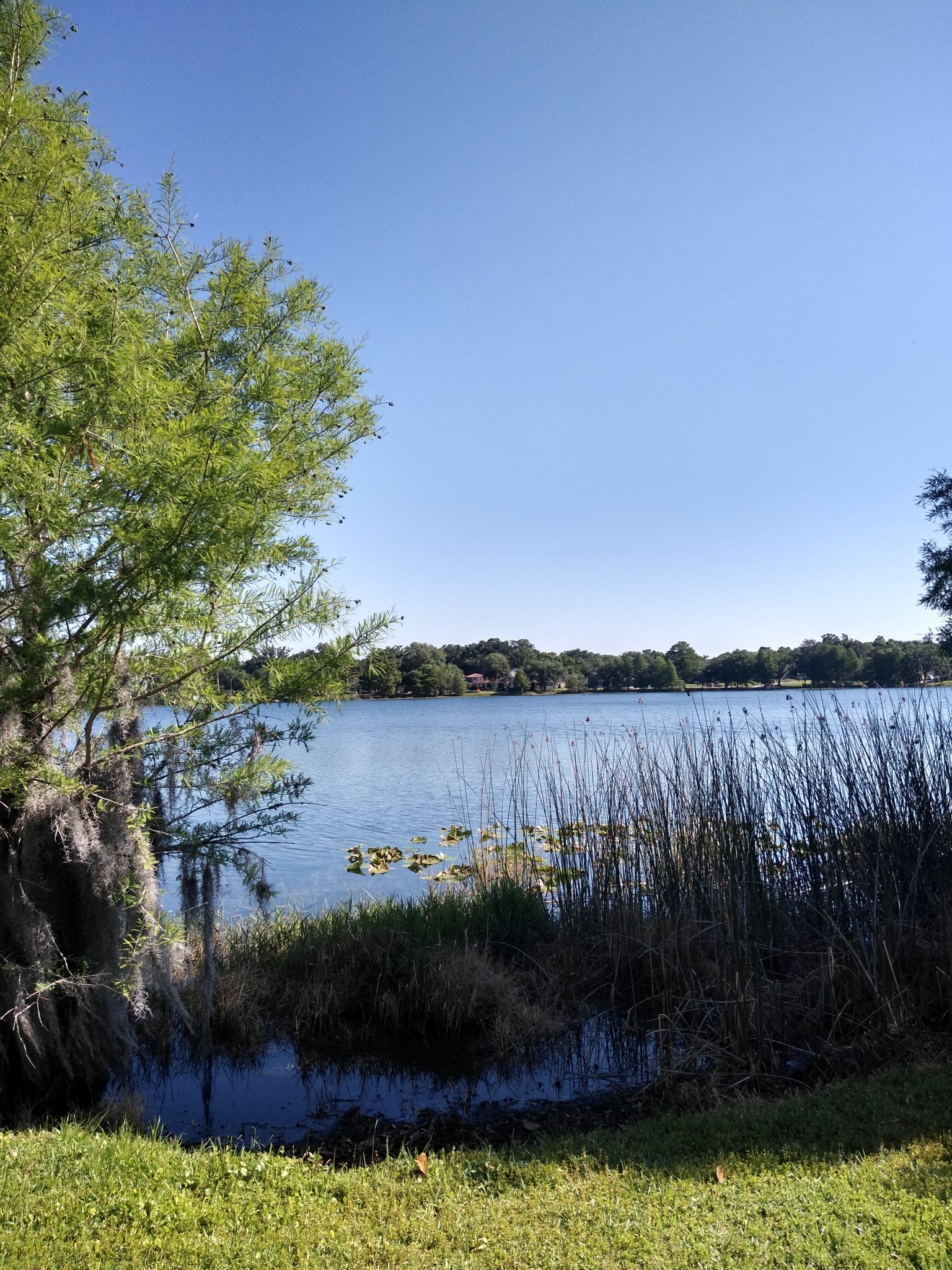 Exploring the World With Pokemon Go Lake Ivanhoe Park