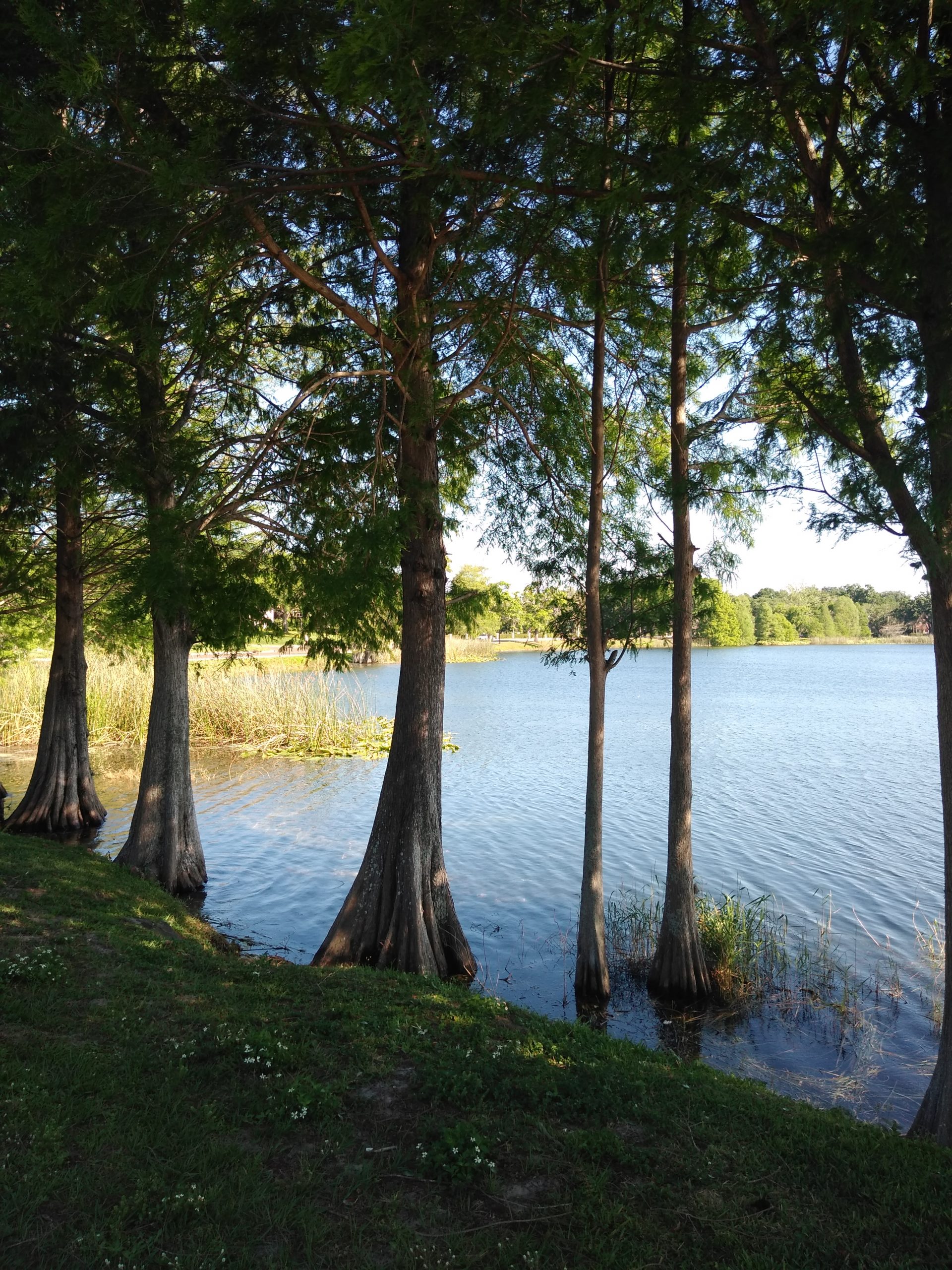 Exploring the World With Pokemon Go Lake Ivanhoe Park